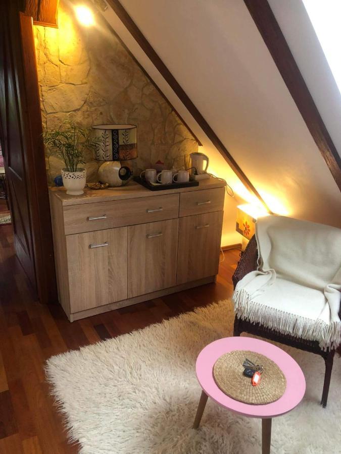 Willa Nad Popradem Bed & Breakfast Piwniczna-Zdroj Luaran gambar