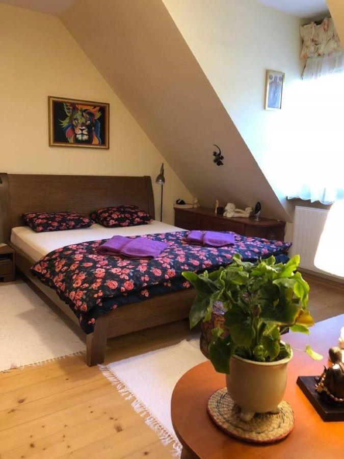 Willa Nad Popradem Bed & Breakfast Piwniczna-Zdroj Luaran gambar