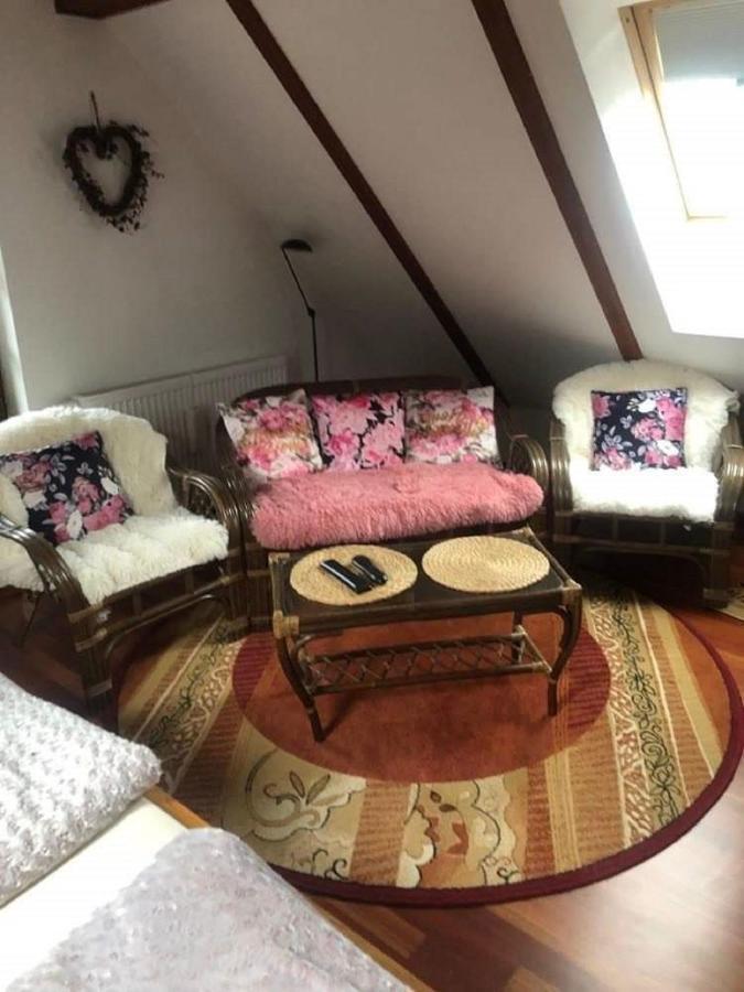 Willa Nad Popradem Bed & Breakfast Piwniczna-Zdroj Luaran gambar