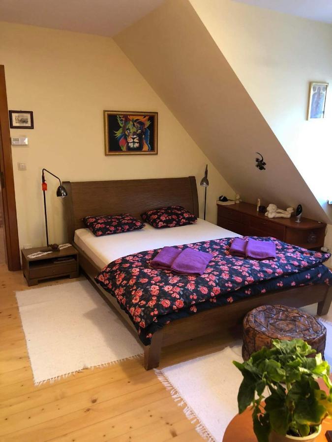 Willa Nad Popradem Bed & Breakfast Piwniczna-Zdroj Luaran gambar