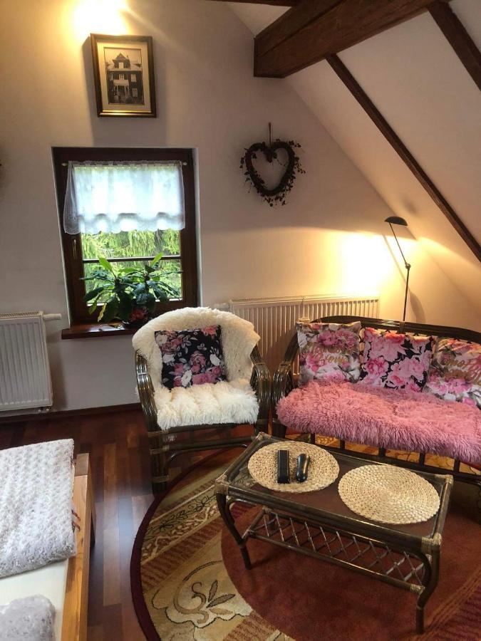 Willa Nad Popradem Bed & Breakfast Piwniczna-Zdroj Luaran gambar