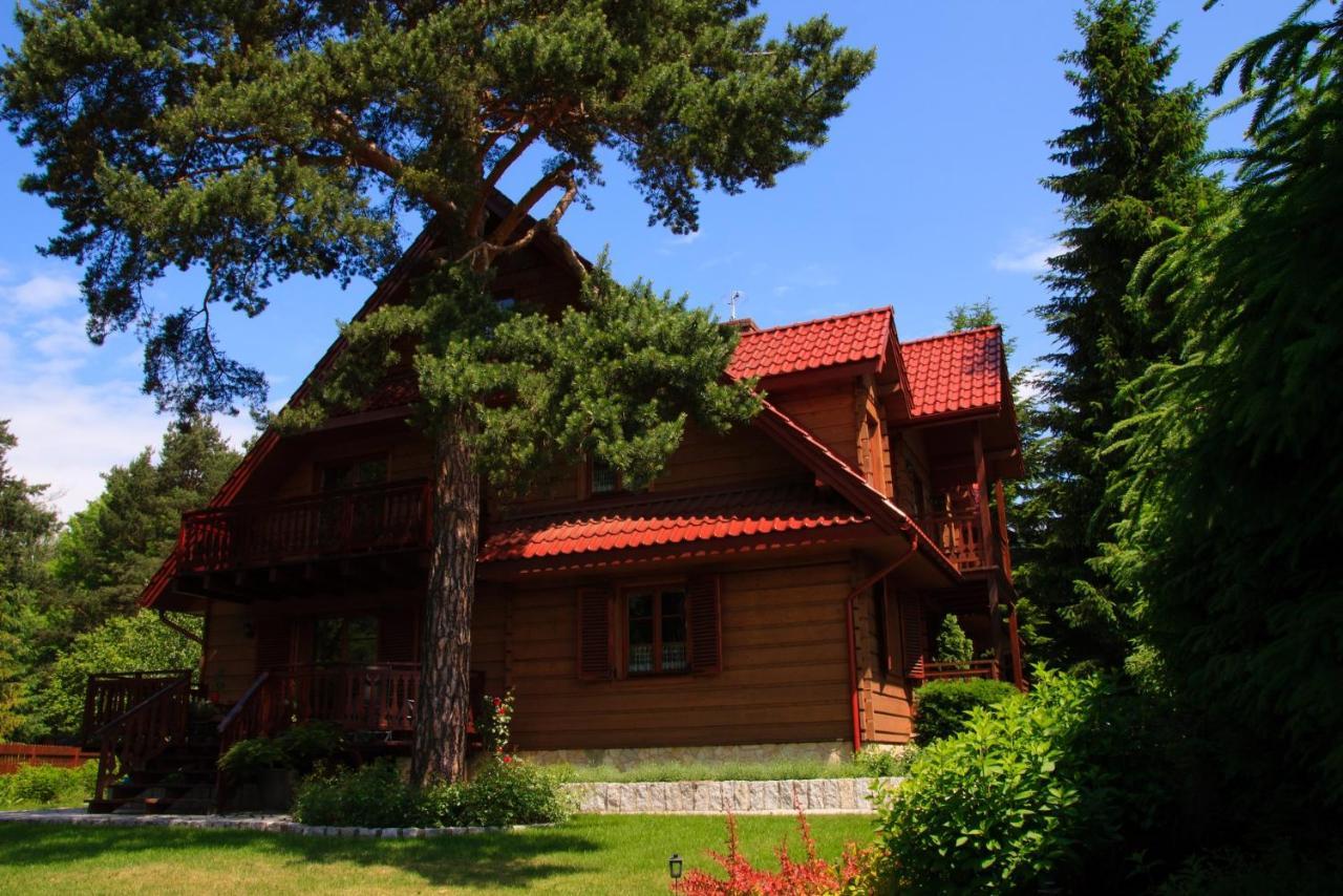 Willa Nad Popradem Bed & Breakfast Piwniczna-Zdroj Luaran gambar