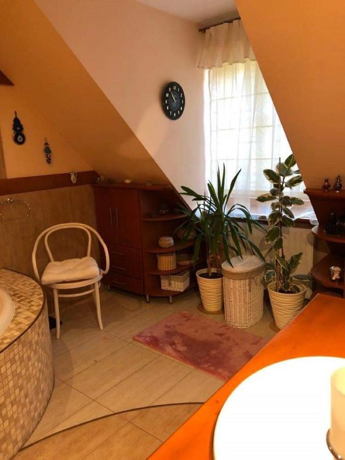 Willa Nad Popradem Bed & Breakfast Piwniczna-Zdroj Luaran gambar