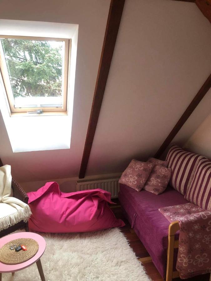 Willa Nad Popradem Bed & Breakfast Piwniczna-Zdroj Luaran gambar