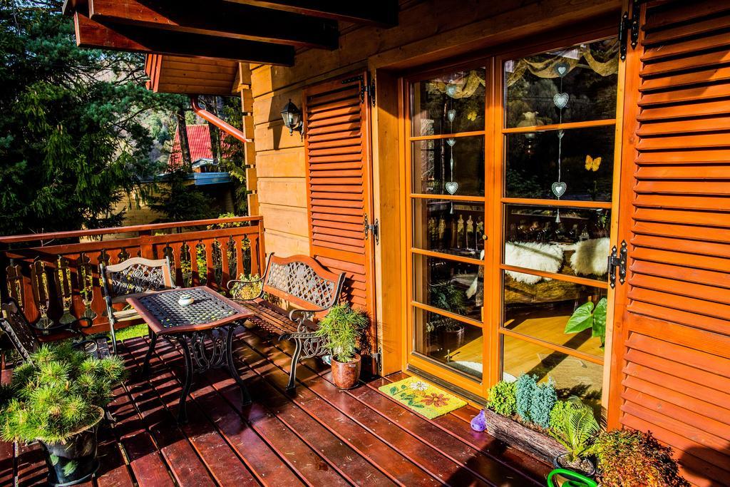 Willa Nad Popradem Bed & Breakfast Piwniczna-Zdroj Luaran gambar