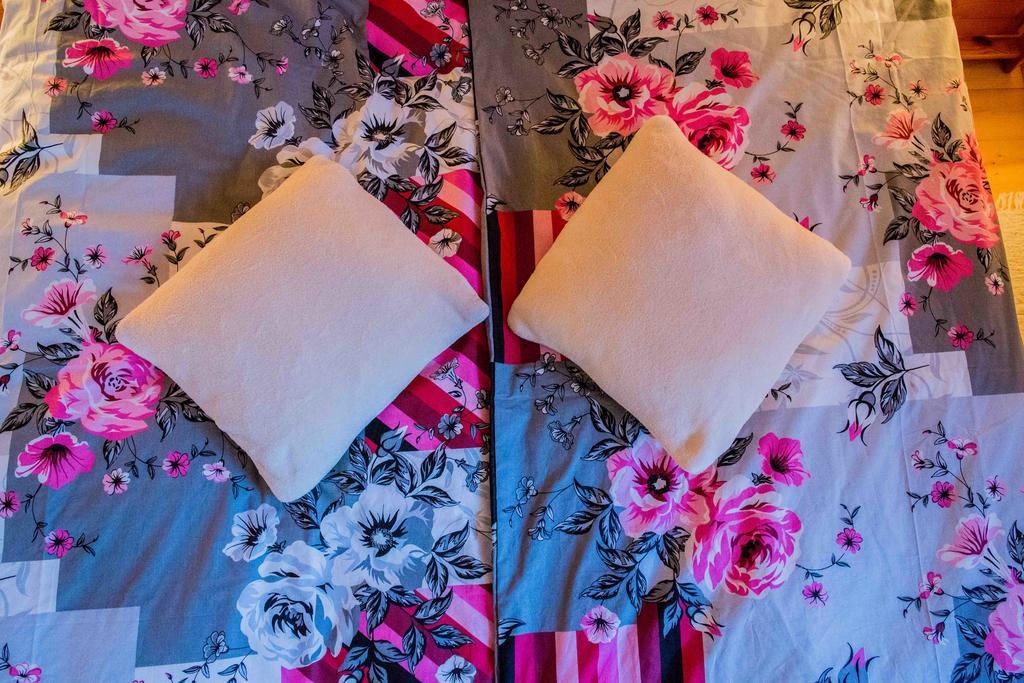 Willa Nad Popradem Bed & Breakfast Piwniczna-Zdroj Luaran gambar