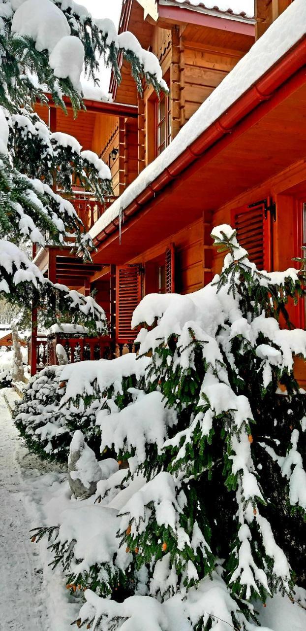 Willa Nad Popradem Bed & Breakfast Piwniczna-Zdroj Luaran gambar
